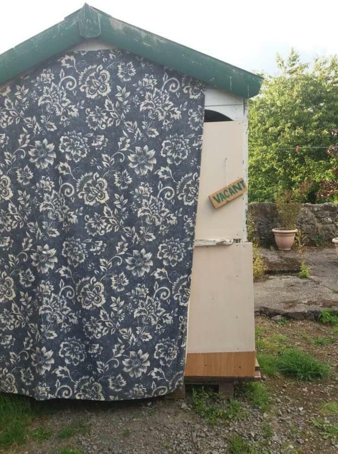 Hotel Castletownmoor Clinic & Permaculture Farm Kells  Exteriér fotografie