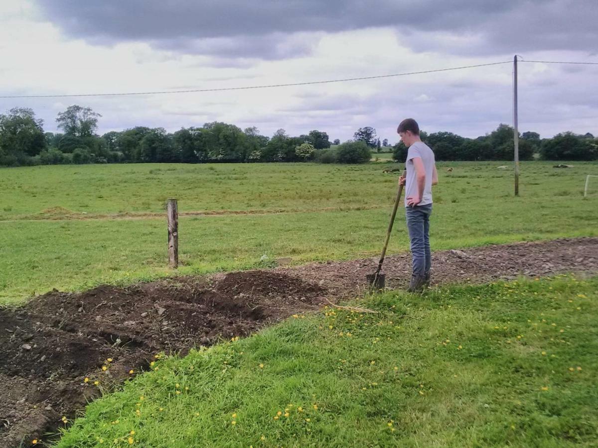 Hotel Castletownmoor Clinic & Permaculture Farm Kells  Exteriér fotografie