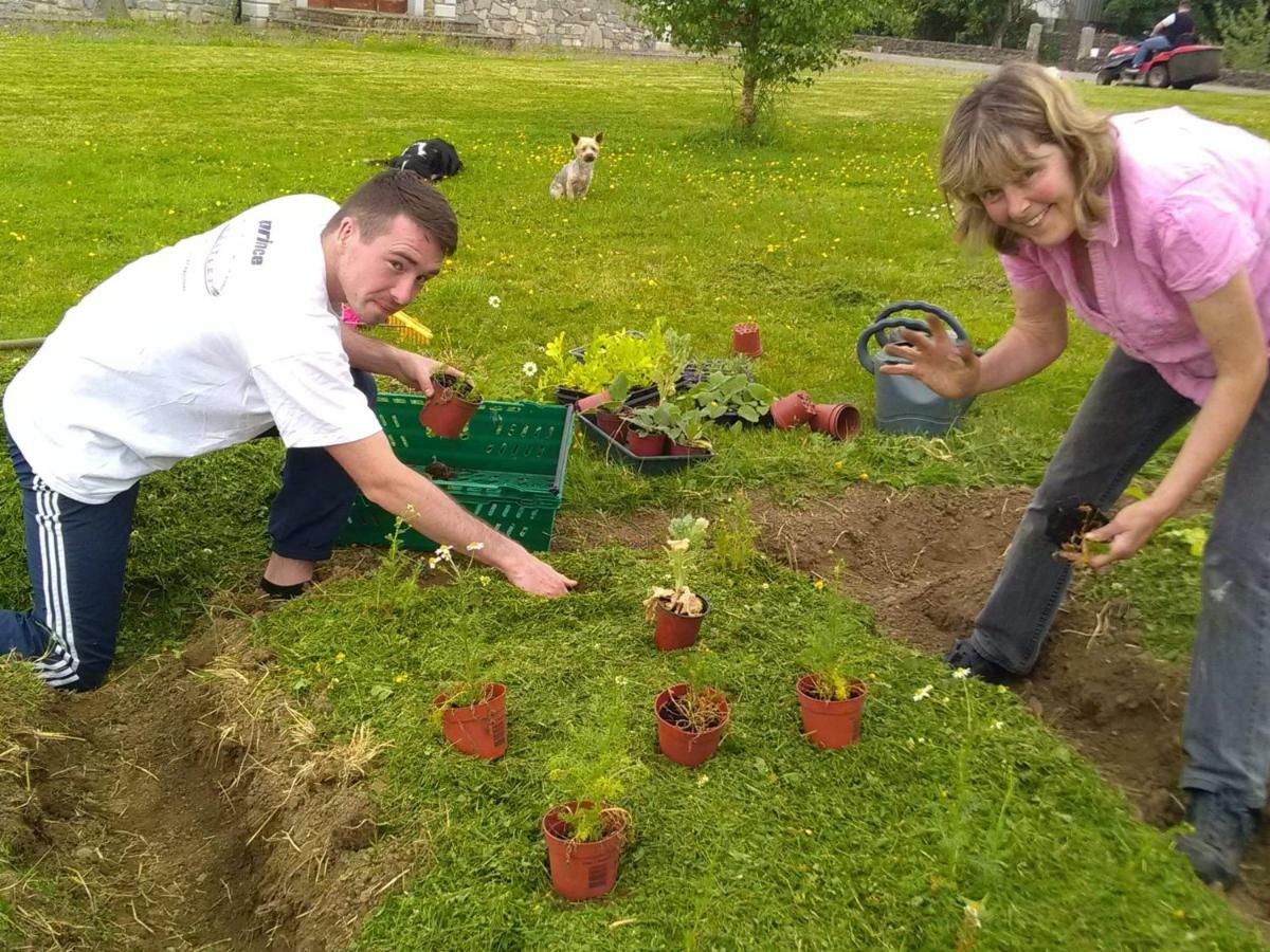 Hotel Castletownmoor Clinic & Permaculture Farm Kells  Exteriér fotografie